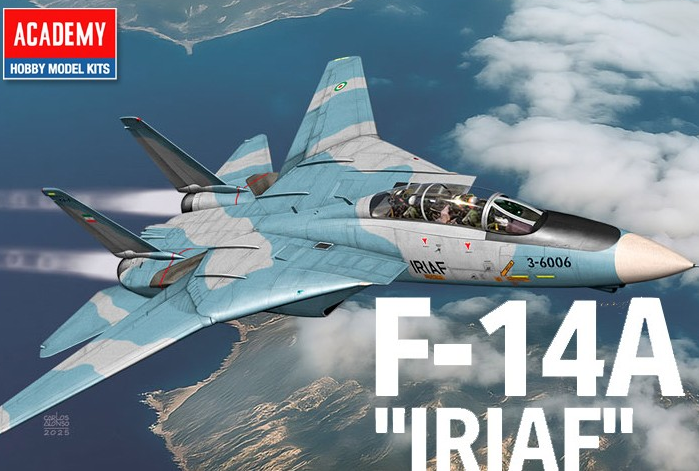 12594 Academy 1/72 F-14A "Iriaf"