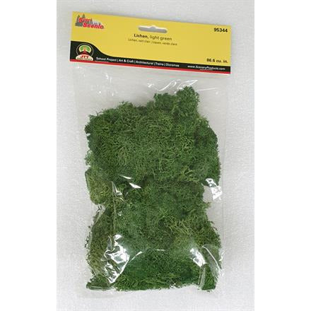 95344 JTT Lichen Light Green