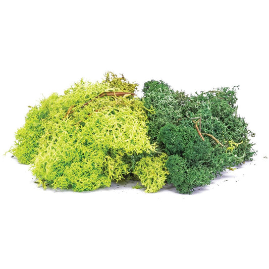 R7194 Hornby Lichen - Green Mix 35g