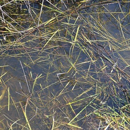 8008 AK Interactive - Dioramas - Still Water 250ml