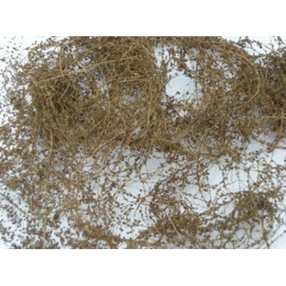 95063 JTT Dry Vine Dead Foliage 10g